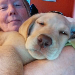 Meet your Posher, Beverly